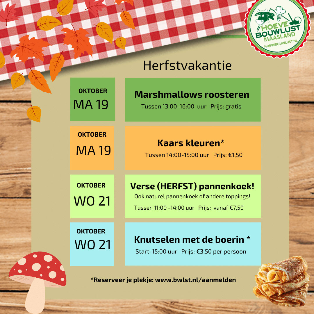 Featured image for “Herfst vakantie activiteiten Hoeve Bouwlust”
